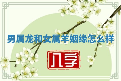 2025年11月06日打麻将财神朝向详解
