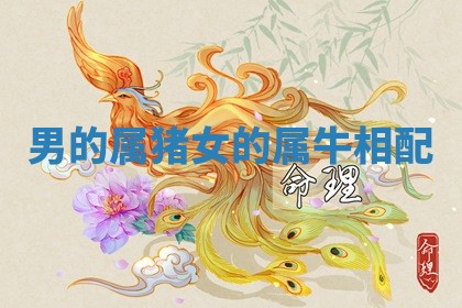 2025年11月06日打麻将财神朝向详解