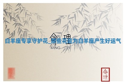 2025年11月08日打麻将财神在哪个方位,每日查询