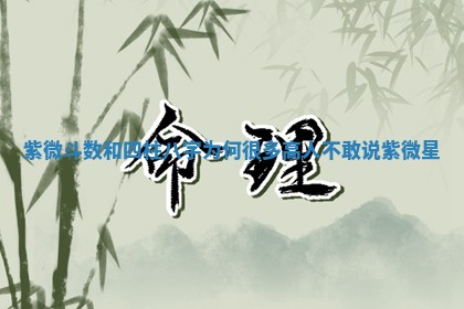 2025年11月06日打麻将财神朝向详解