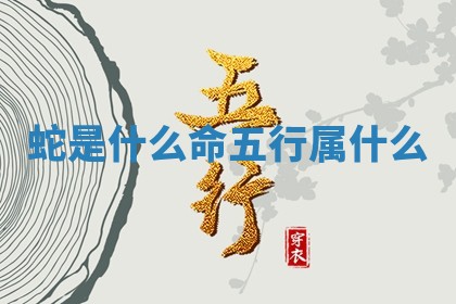 2025年11月08日打麻将财神在哪个方位,每日查询