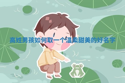 高姓温柔甜美的男孩名字