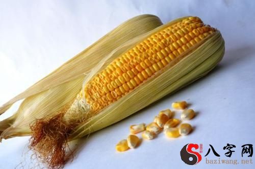 梦见玉米棒长毛