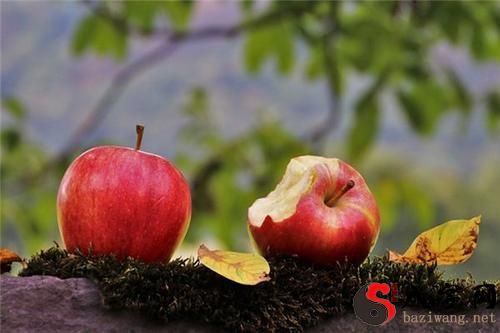 梦见和别人共吃一个苹果