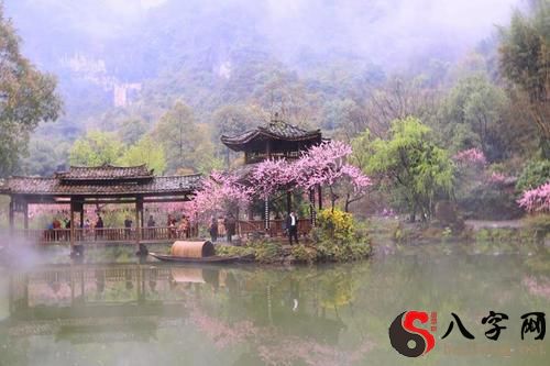 梦见光身子在水中游